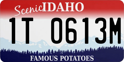 ID license plate 1T0613M