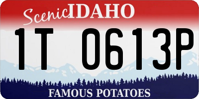 ID license plate 1T0613P
