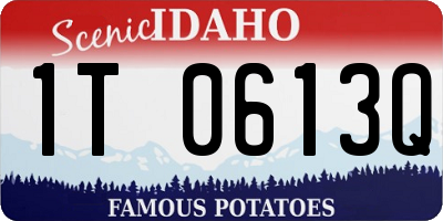 ID license plate 1T0613Q