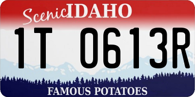 ID license plate 1T0613R