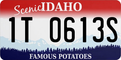 ID license plate 1T0613S