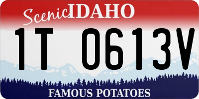 ID license plate 1T0613V