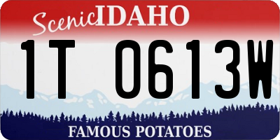 ID license plate 1T0613W