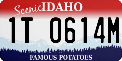 ID license plate 1T0614M
