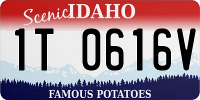 ID license plate 1T0616V