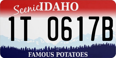ID license plate 1T0617B