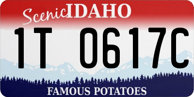 ID license plate 1T0617C