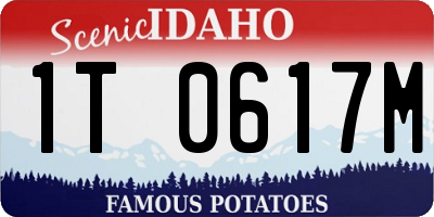 ID license plate 1T0617M