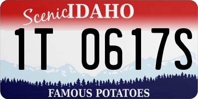 ID license plate 1T0617S
