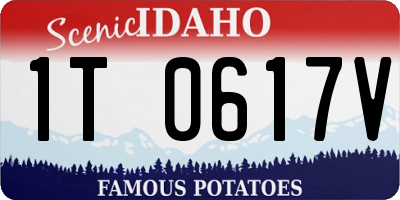 ID license plate 1T0617V