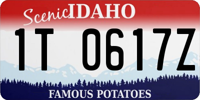 ID license plate 1T0617Z