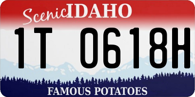 ID license plate 1T0618H