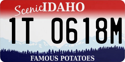 ID license plate 1T0618M