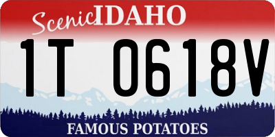 ID license plate 1T0618V
