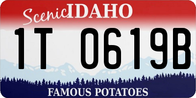 ID license plate 1T0619B
