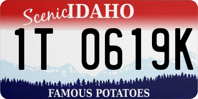 ID license plate 1T0619K