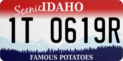 ID license plate 1T0619R