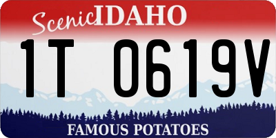 ID license plate 1T0619V