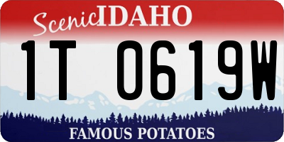 ID license plate 1T0619W