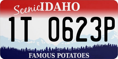 ID license plate 1T0623P