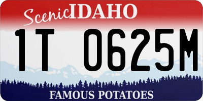 ID license plate 1T0625M