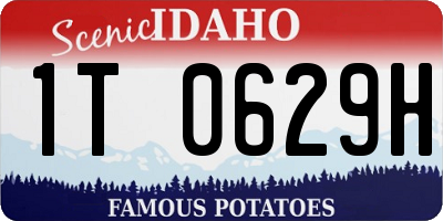 ID license plate 1T0629H