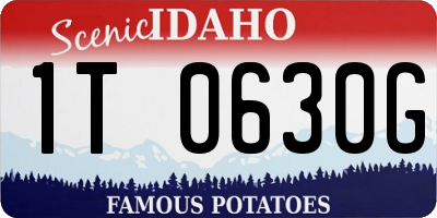 ID license plate 1T0630G