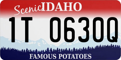 ID license plate 1T0630Q