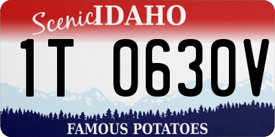 ID license plate 1T0630V