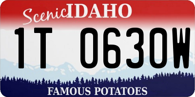 ID license plate 1T0630W