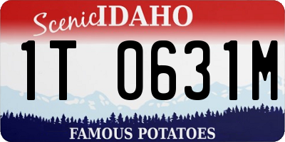 ID license plate 1T0631M
