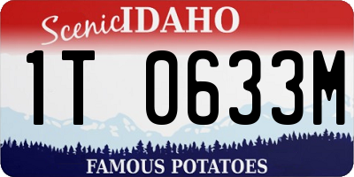 ID license plate 1T0633M