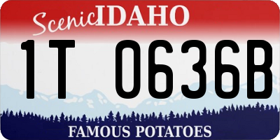 ID license plate 1T0636B