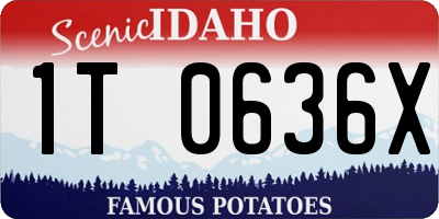 ID license plate 1T0636X