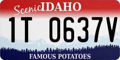 ID license plate 1T0637V