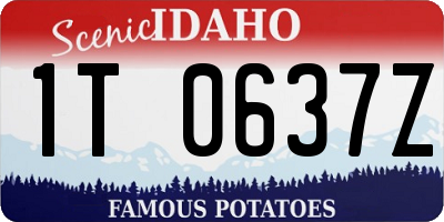ID license plate 1T0637Z