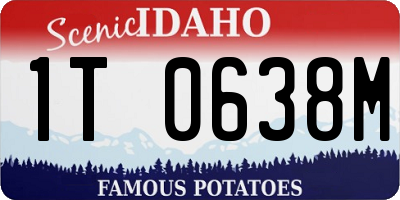 ID license plate 1T0638M