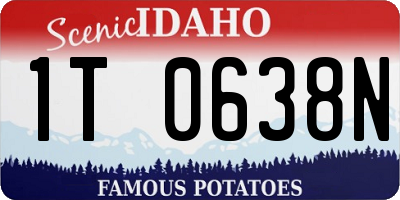 ID license plate 1T0638N