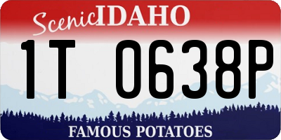 ID license plate 1T0638P