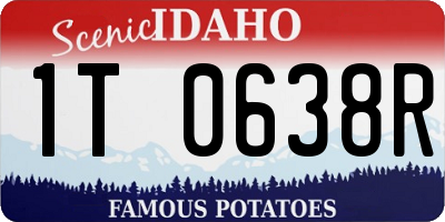 ID license plate 1T0638R