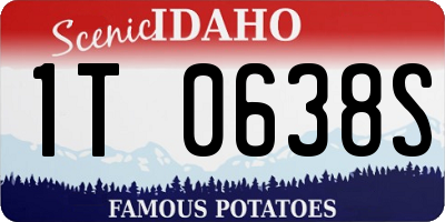 ID license plate 1T0638S