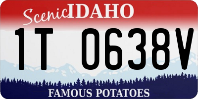 ID license plate 1T0638V