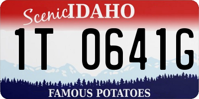 ID license plate 1T0641G