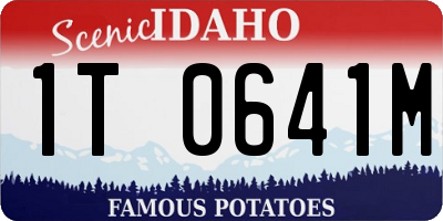 ID license plate 1T0641M