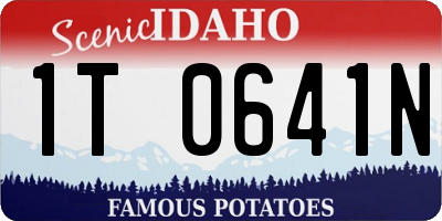 ID license plate 1T0641N