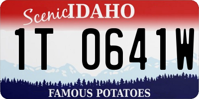 ID license plate 1T0641W
