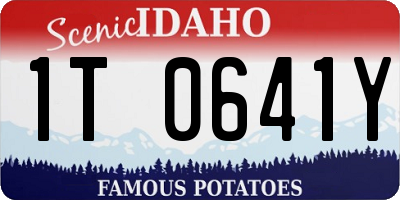 ID license plate 1T0641Y