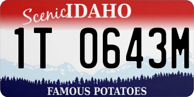 ID license plate 1T0643M