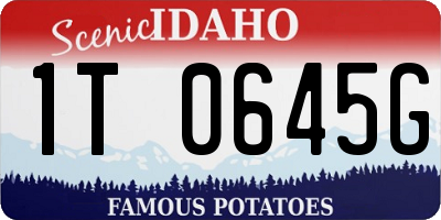 ID license plate 1T0645G