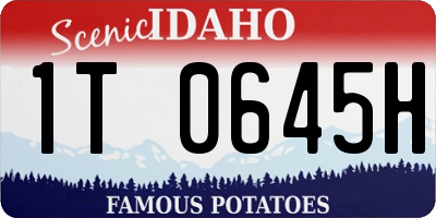 ID license plate 1T0645H